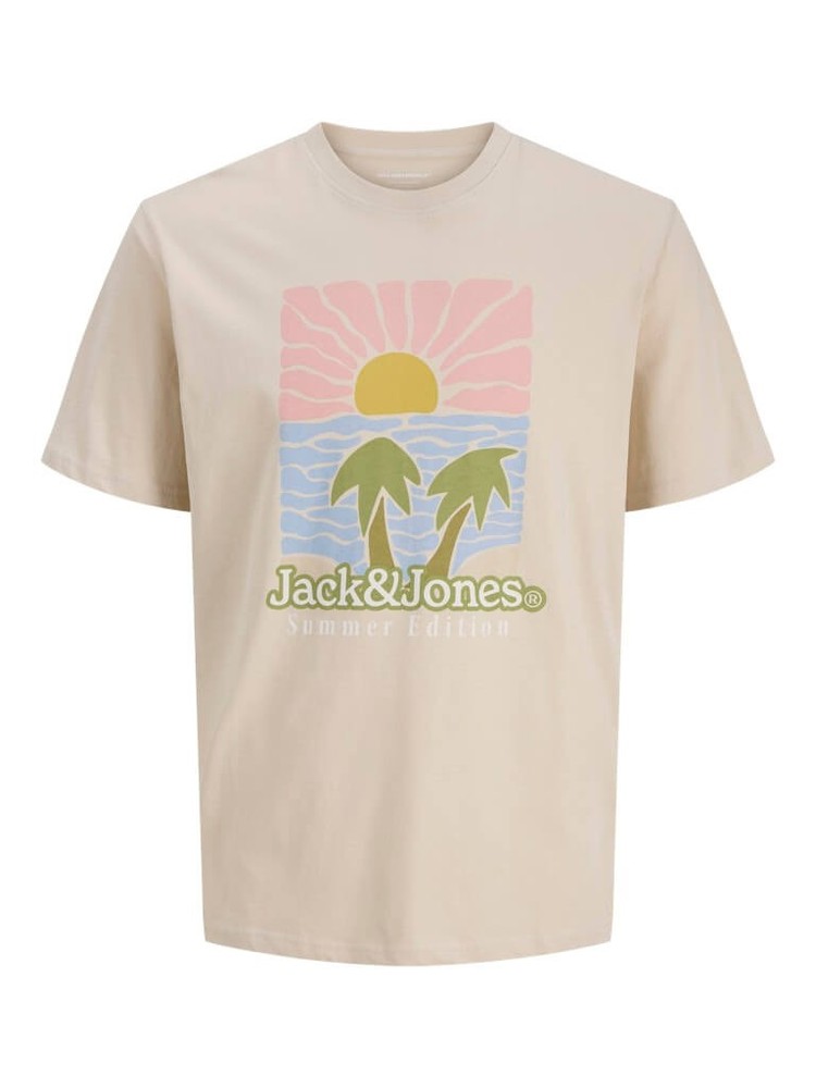 Jack & Jones JORDOWN 100% Cotton Crew Neck T-Shirt in Moonbeam