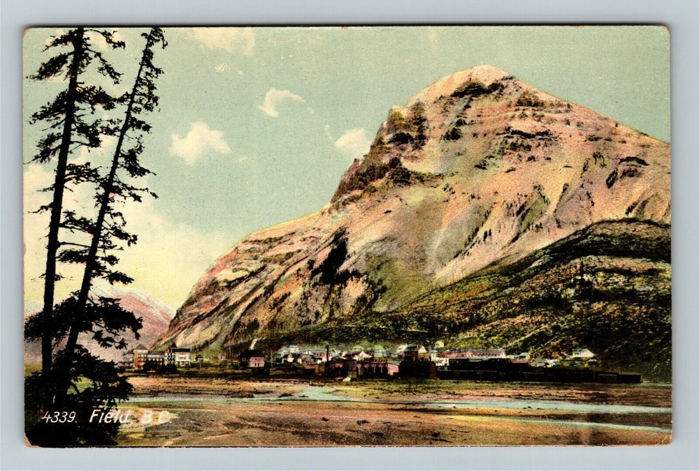 Field BC-British Columbia Canada, Scenic View Vintage Souvenir Postcard