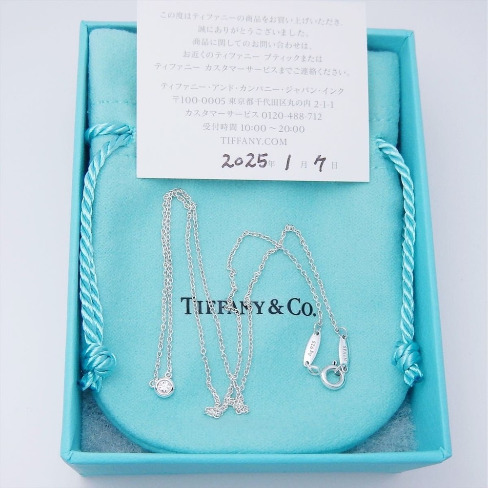 TIFFANY Co. Tiffany Diamond By the Yard Diamond Pendant Necklace 0.05 Carat
