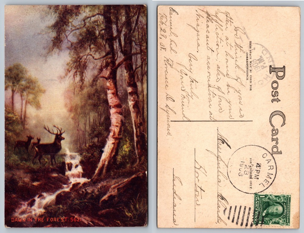 Dawn In Forest Deer Creek Waterfall Postcard