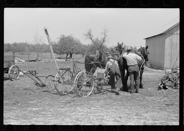 Photo:1930s Farm Horses Plow Men Barn Agricultural Scene