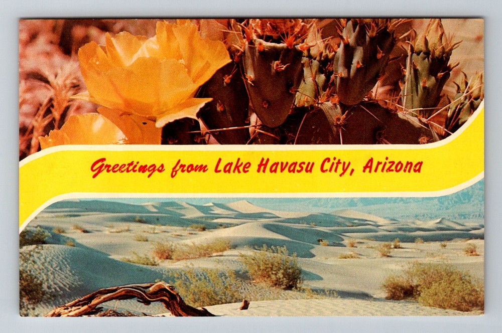 Lake Havasu City, AZ-Arizona, Desert Dunes Cactus Bloom Vintage Postcard