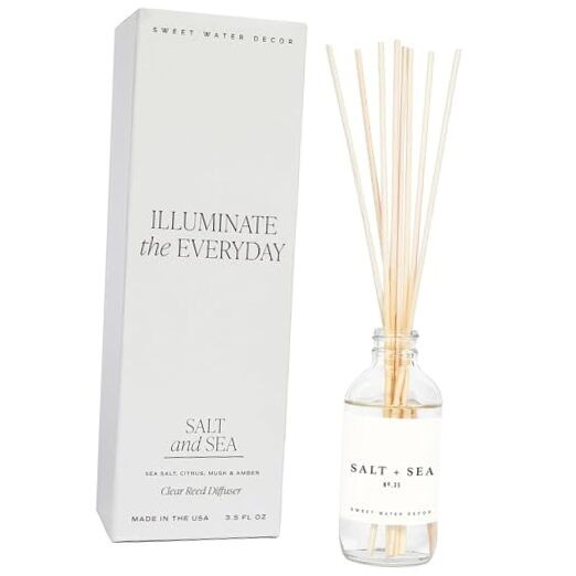 Sweet Water Decor Salt & Sea Reed Diffuser Set No. 35