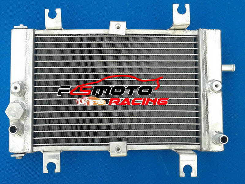 Aluminum Radiator For Bombardier Can-Am CAN AM DS250 DS 250 2006-2012 2007 08 09