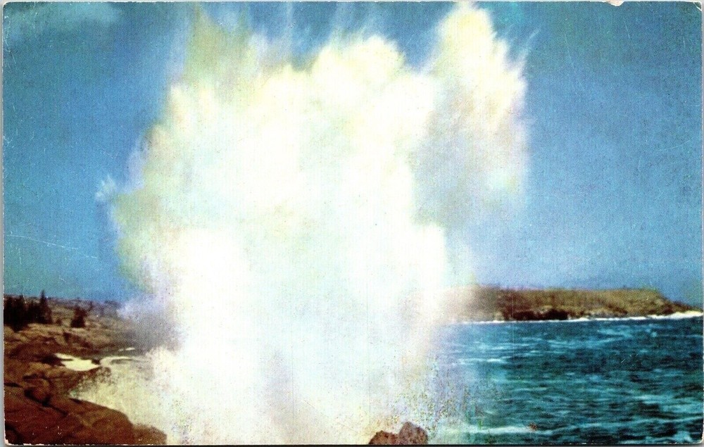 Surf Scene Acadia National Park Mt Desert Island Maine ME Postcard UNP VTG-image