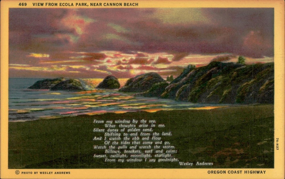 Vintage Linen Postcard View from Ecola Park Near Cannon Beach Oregon