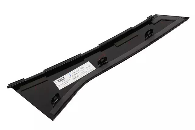 Genuine GM Jet Black Rear Driver Side Window Frame Applique 23291739