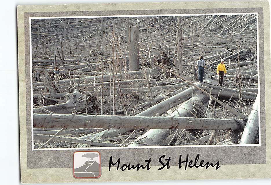 Postcard Eruption of Mt. St. Helens Aftermath Washington USA