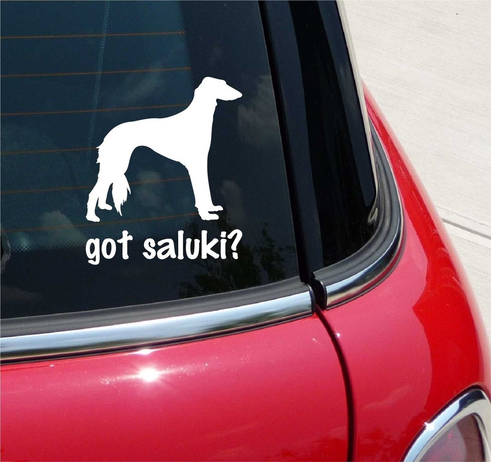 GOT SALUKI? SALUKIS DOG DOGS GRAPHIC DECAL STICKER ART CAR WALL DECOR
