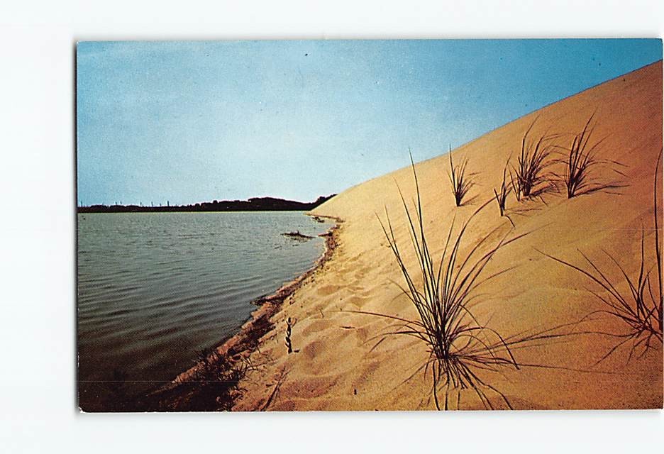 Postcard Beach Grass Sand Dunes Water's Edge Cape Cod Massachusetts USA America