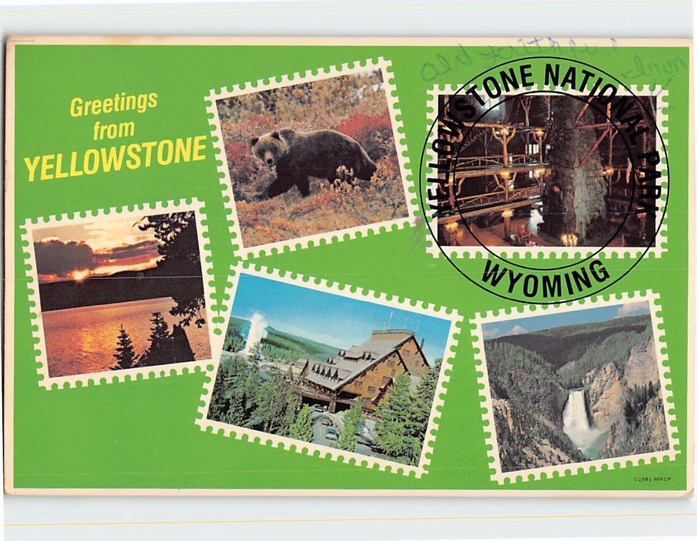 Postcard Greetings from Yellowstone National Park Wyoming