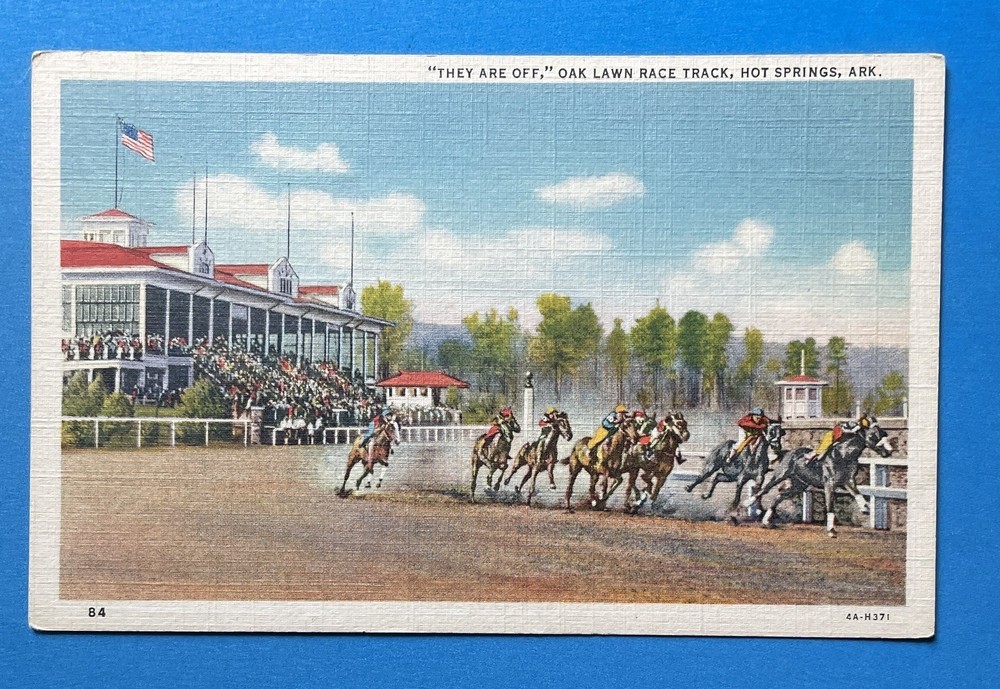 Hot Springs Arkansas Oak Lawn Race Track Vintage Linen Postcard UNUSED horse