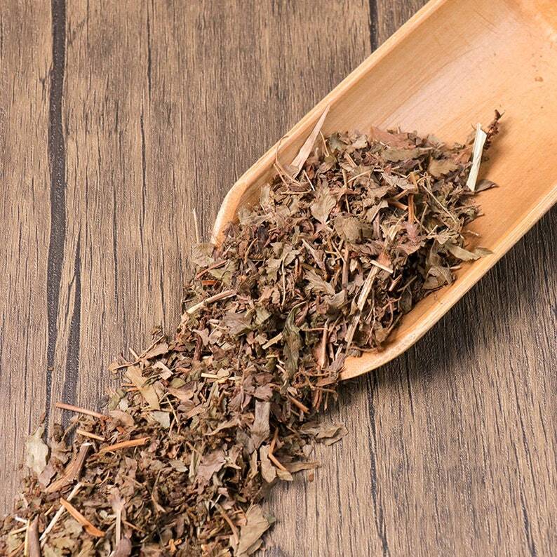 Organic Herbal Japanese Climbing Fern Spore Spora Lygodii Lygodium Japonicum