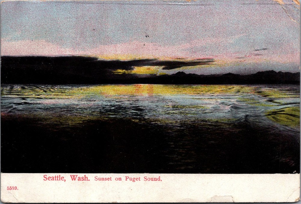 1908 Seattle WA Puget Sound Sunset World's Fair Postcard Posted