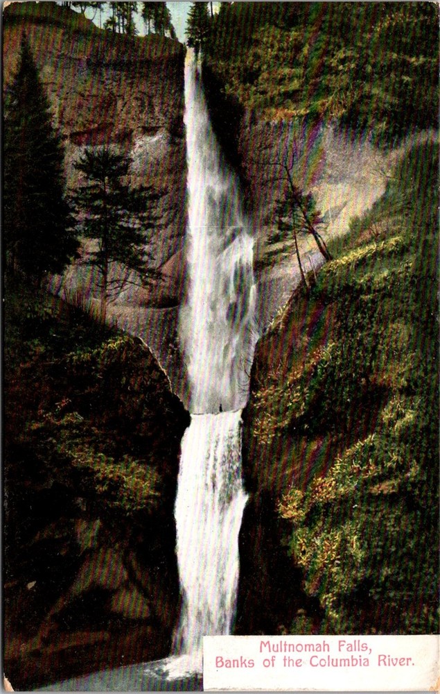 Multnomah Falls, Banks of the Columbia River Vintage Postcard