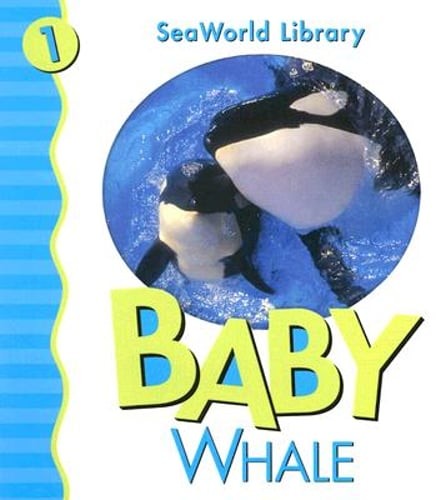 Baby Killer Whale San Diego Zoo by Shively: Used