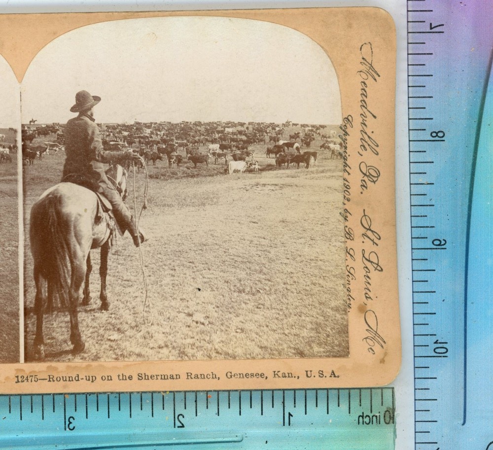 Genessee KS Round Up on Sherman Ranch Kansas Keystone Stereoview