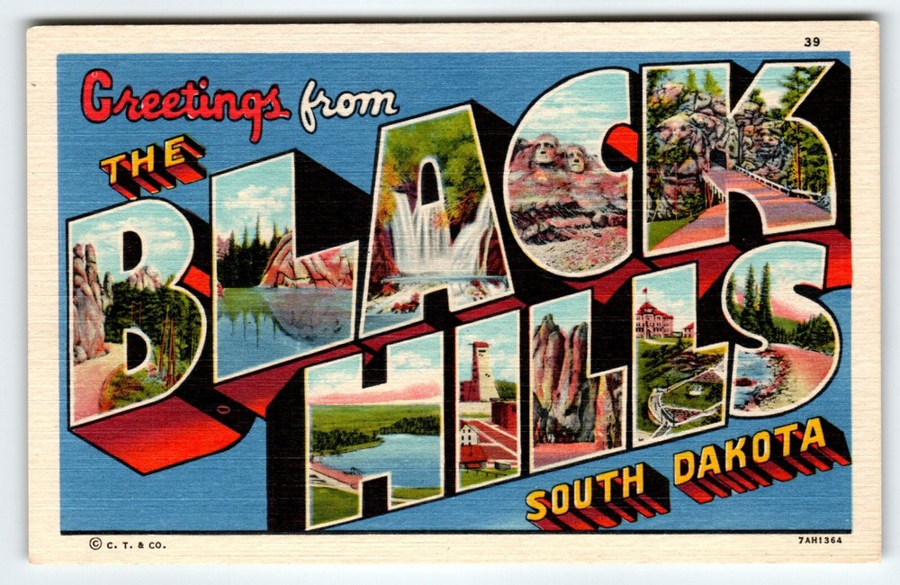 Greetings From Black Hills South Dakota Large Letter Postcard Linen Curt Teich