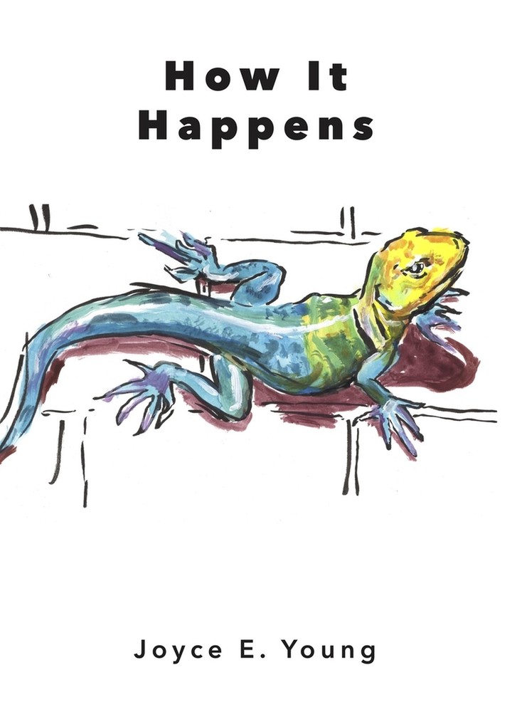 Joyce E Young How It Happens (Paperback)Another great item from Rarewaves USA | Free delivery!
