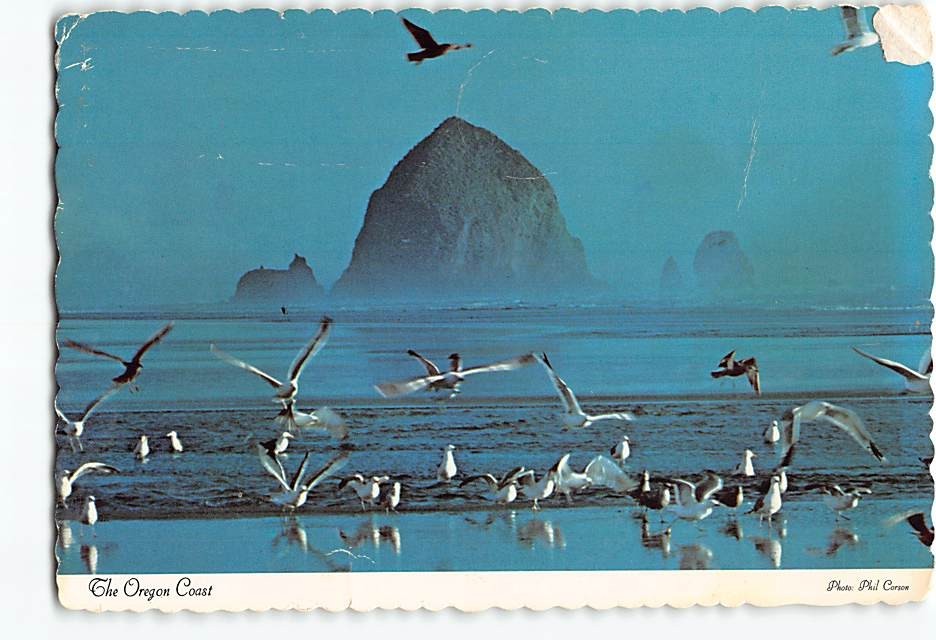 Postcard Haystack Rock & Seagulls Oregon USA