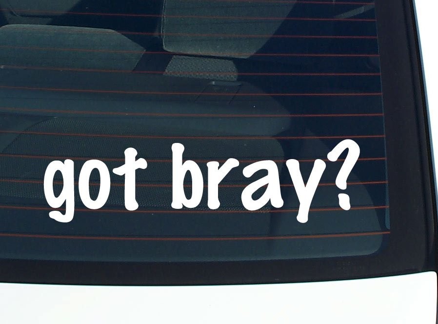 Got Bray Funny Last Name Car Decal Bumper Sticker Vinyl Window Pride