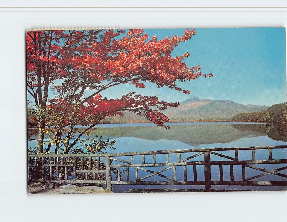 Postcard Lovely Lake & Mt. Chocorua Albany New Hampshire USA