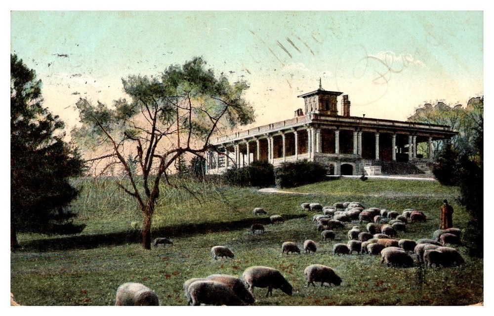 1908 Sheep At Mansion House Druid Hill Park Baltimore Maryland Vintage Postcard