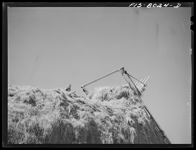 Photo:Big Hole Valley Montana 1942 Hay Stacking Tractor