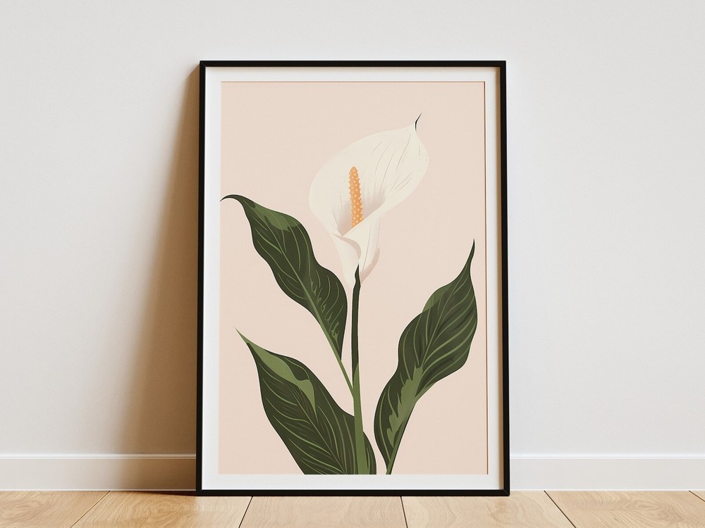 Minimalist Peace Lily Print Botanical Illustration Wall Art Home Decor White