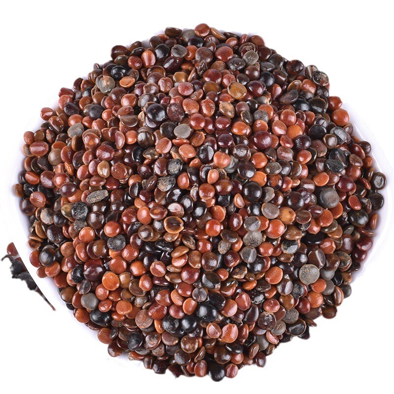 Boost health with Zhijuzi Chinese Herbs for natural wellness and vitality