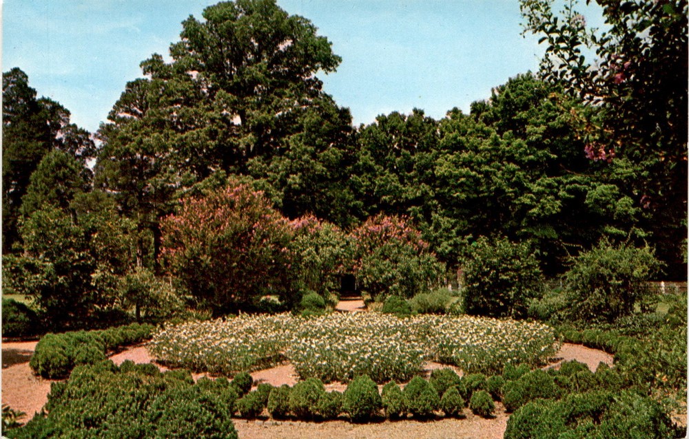 The Garden, THE HERMITAGE, General Andrew Jackson, Seventh President, Postcard