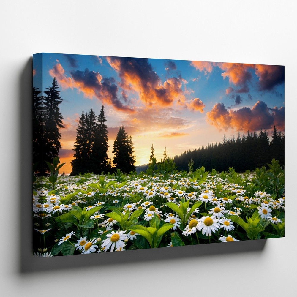 In The Foreground, A Vibrant Field Of White Daisies, Their Wall Art Canvas Print