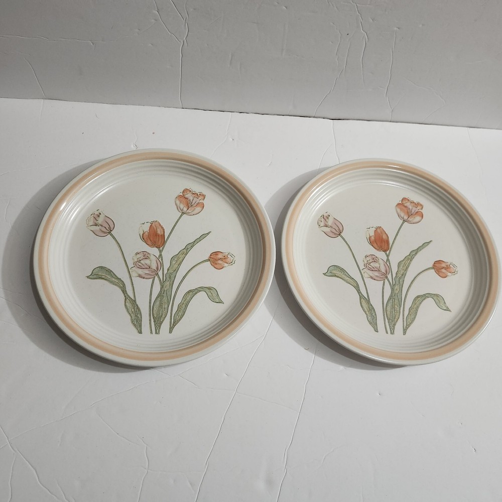 Baker Hart Stuart Erin Dinner Plates Floral Stoneware Japan 10.5 Inches Lot Of 2