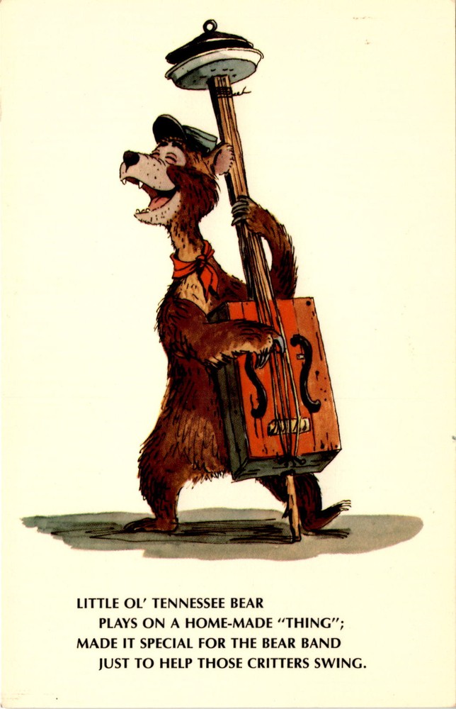Vintage Walt Disney World Magic Kingdom Frontierland Bear Postcard Tennessee