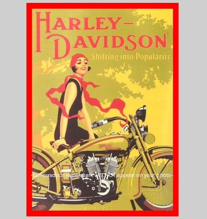 Vintage Harley Davidson Motorcycle PHOTO Poster Art Advertisement Shifting