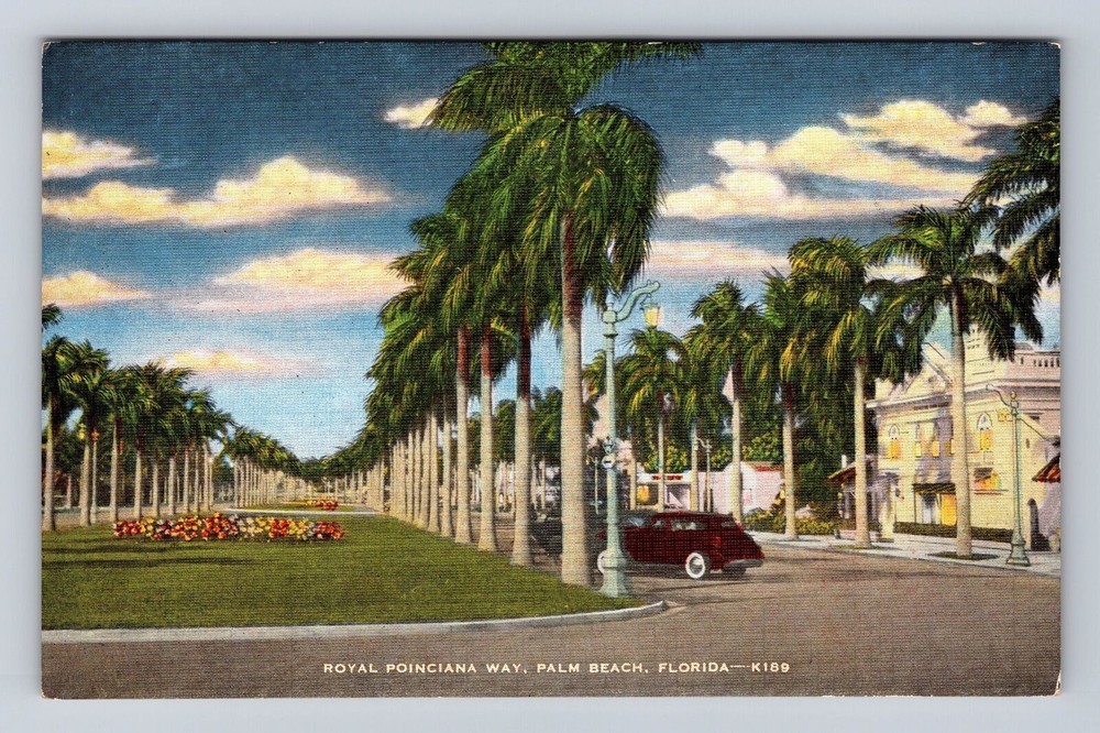Palm Beach FL-Florida, Royal Poinciana Way, Vintage Cars, Vintage Postcard