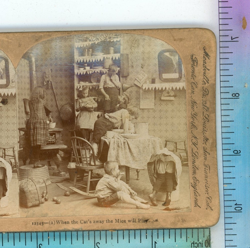 When Cats away Mice Play Children Keystone Stereoview