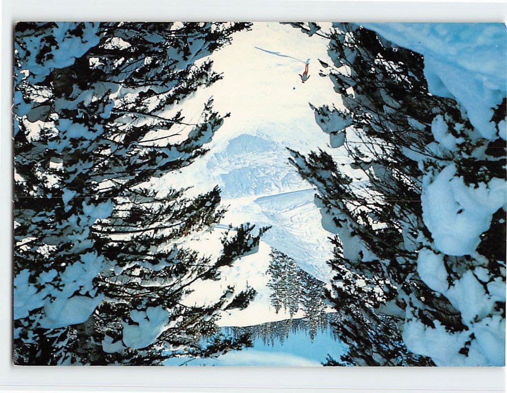 Postcard Skiing in to Tourtelotte Park Aspen Mountain Aspen Colorado USA