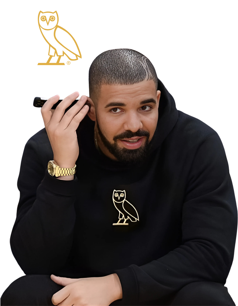 Drake Owl Premium Hoodie with Ancient Owl Embroidery