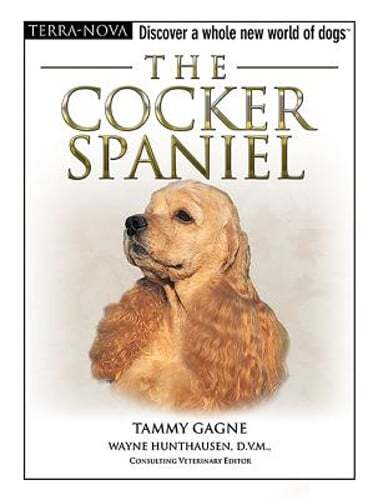 The Cocker Spaniel by Tammy Gagne: Used