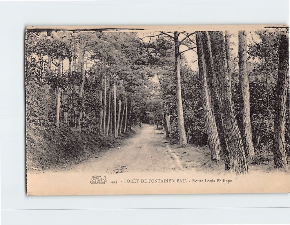 Postcard Route Louis Philippe Foret De Fontainebleau France