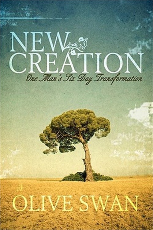 New Creation (Paperback or Softback)