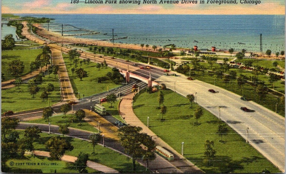 Lincoln Park Showing North Avenue Drives Chicago Illinois Vintage Postcard