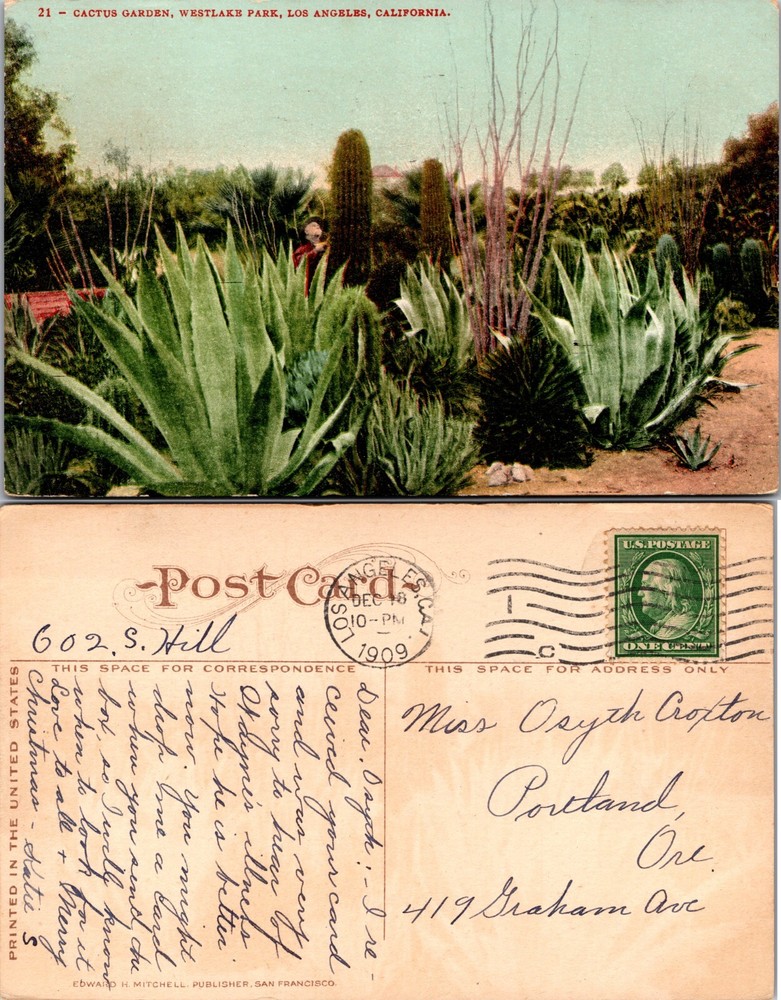 Cactus Garden Westlake Park Los Angeles California Postcard