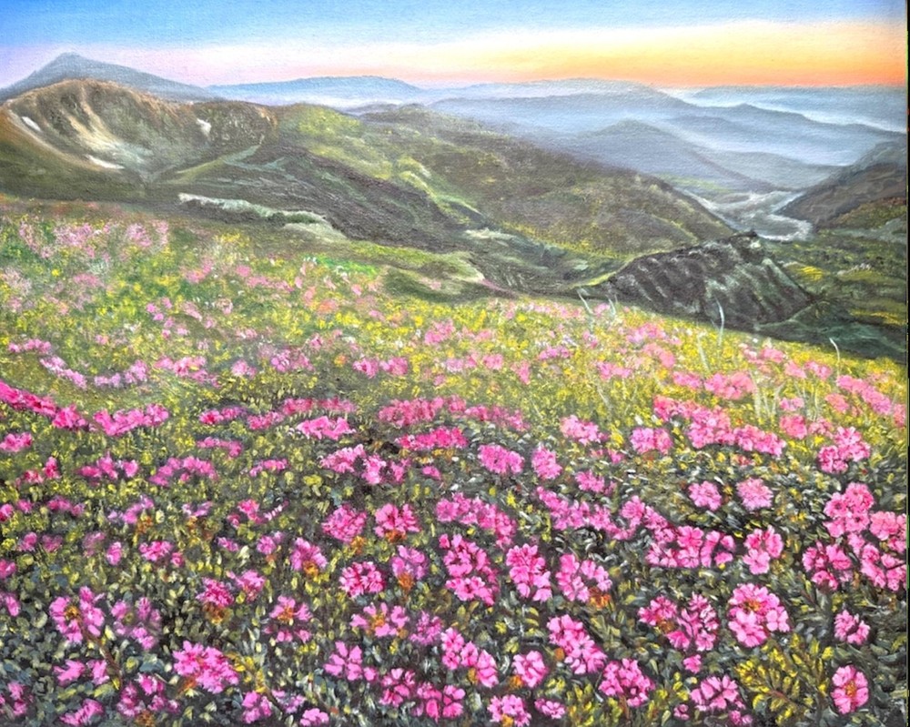 art 537 Original Oil Painting on Canvas - Carpathians Hoverla – 15.7x19.7 in