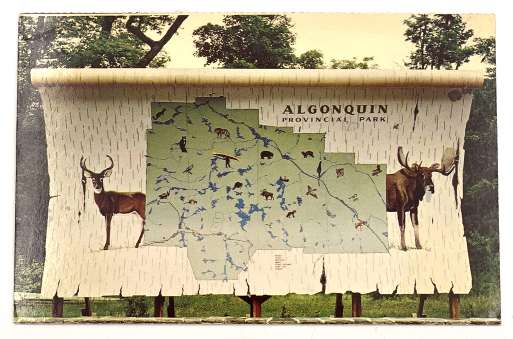 Algonquin Park Ontario Postcard Giant Map Moose Deer Canada 1960s