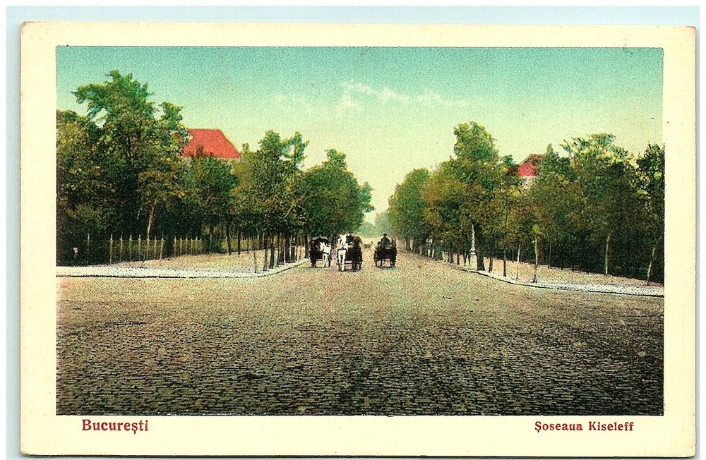 S04-7867, Bucuresti, Soseaua Kiseleff, Antique Postcard