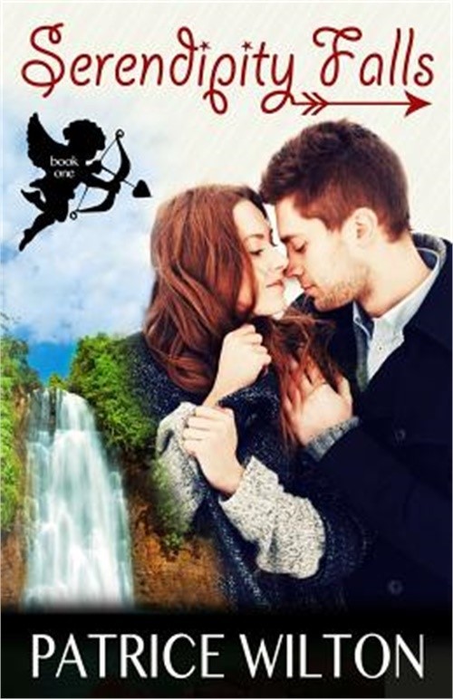 Serendipity Falls (Paperback or Softback)