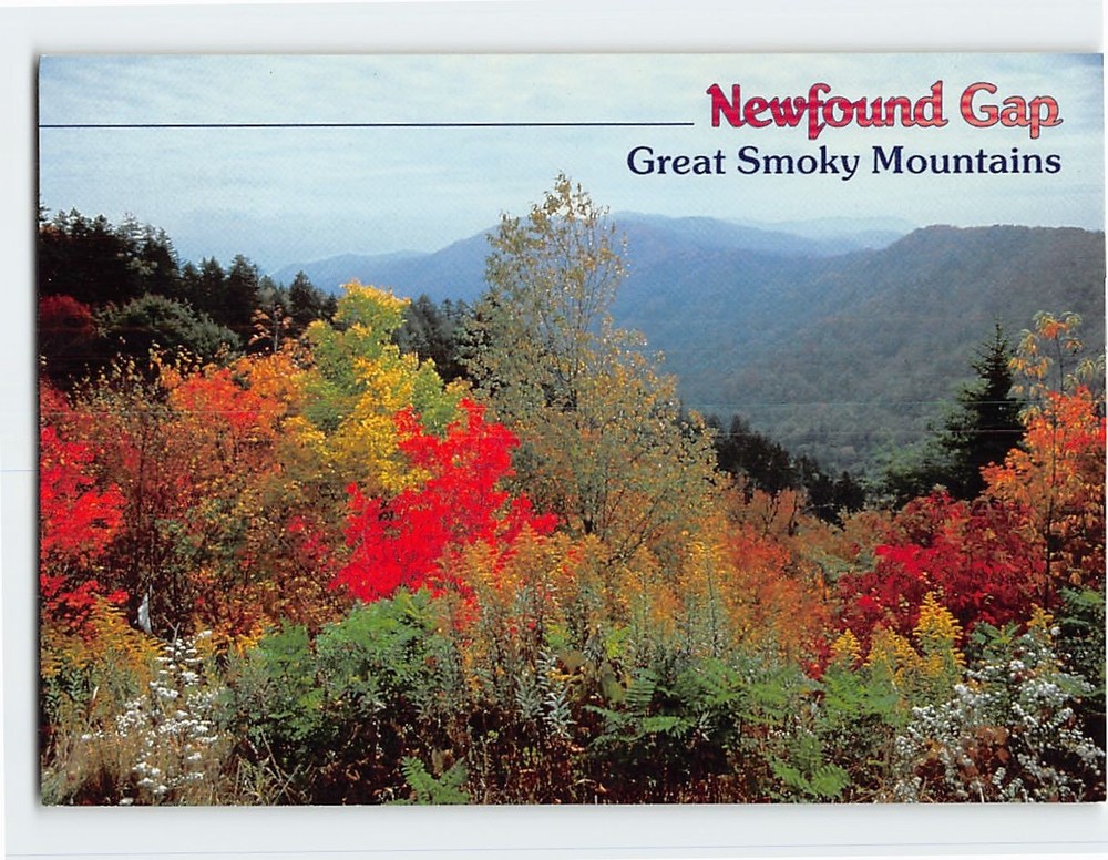 Postcard Newfound Gap Great Smoky Mountains National Park USA