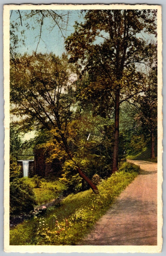 Vtg Postcard Falls Of Bass Lake Biltmore, NC 1930s